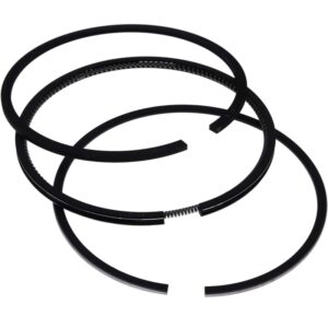 750-13120 ANILLOS LISTER PETER