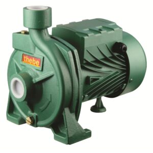 CPM130 ELECTROBOMBA EBARA 0,5HP 110V-220V 1″x1″