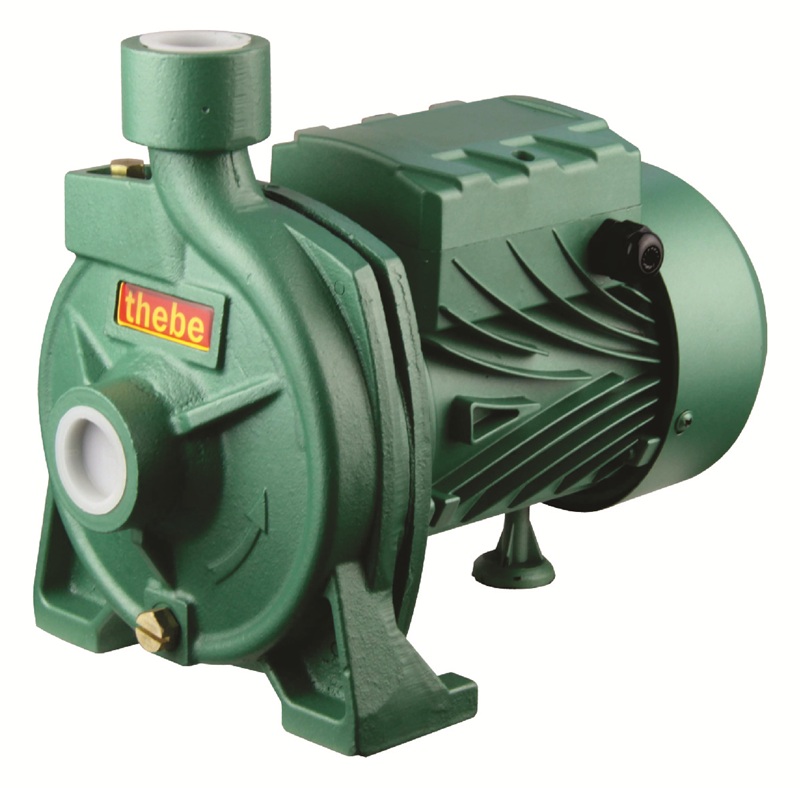 CPM158 ELECTROBOMBA EBARA 1HP 110V-220V 1″x1″
